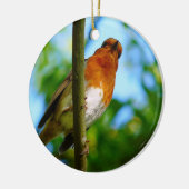 ROBINS KERAMIKORNAMENT (Links)