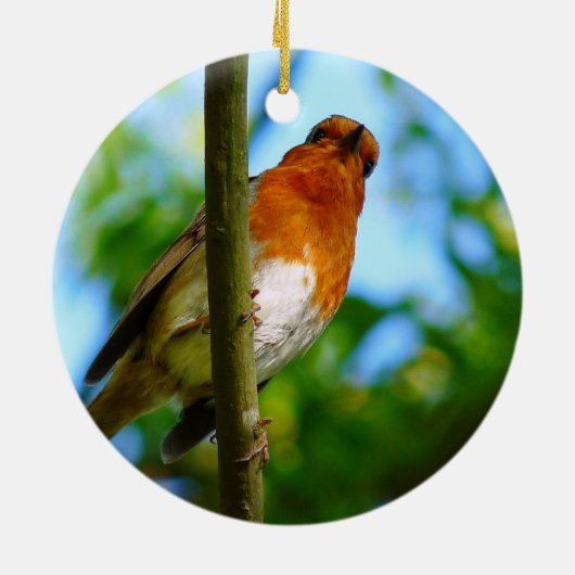 ROBINS KERAMIKORNAMENT (Hinten)
