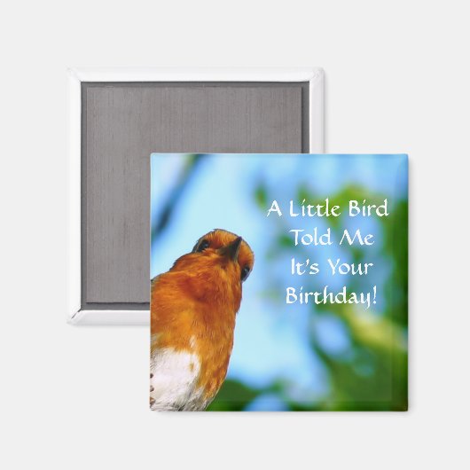 ROBINS MAGNET (Vorderseite/Rückseite)