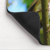 ROBINS MOUSEPAD (Ecke)