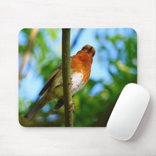 ROBINS MOUSEPAD (Mit Mouse)