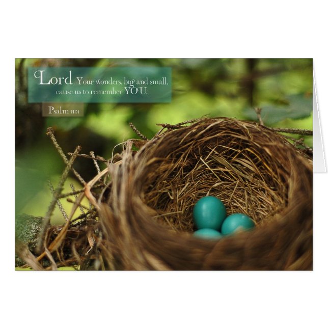 Robins Nest (Vorderseite (Horizontal))