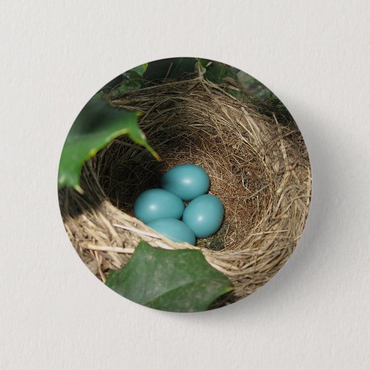 Robin's Nest Button (Vorderseite)