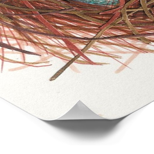 Robin's Nest Poster (Ecke)