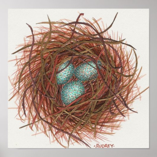 Robin's Nest Poster (Vorne)