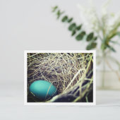 Robin's Nest | Postkarte (Stehend Vorderseite)