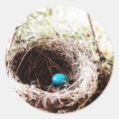 Robin's Nest Runder Aufkleber (Vorderseite)