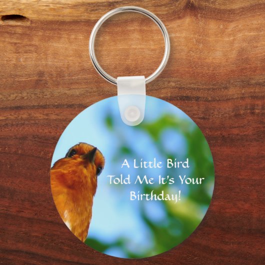 ROBINS SCHLÜSSELANHÄNGER (Vorderseite)