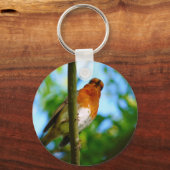 ROBINS SCHLÜSSELANHÄNGER (Vorderseite)