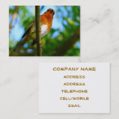 ROBINS VISITENKARTE (Vorne/Hinten)