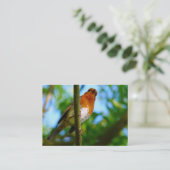 ROBINS VISITENKARTE (Stehend Vorderseite)