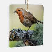 Robin's Woodland Perch Keramikornament (Rechts)