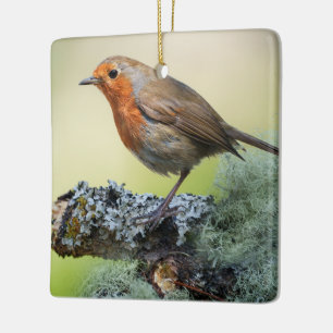 Robin's Woodland Perch Keramikornament