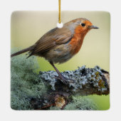 Robin's Woodland Perch Keramikornament (Rückseite)