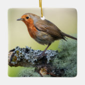Robin's Woodland Perch Keramikornament (Vorderseite)