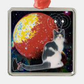 Robo-Cat Hobo Ornament (Vorne)