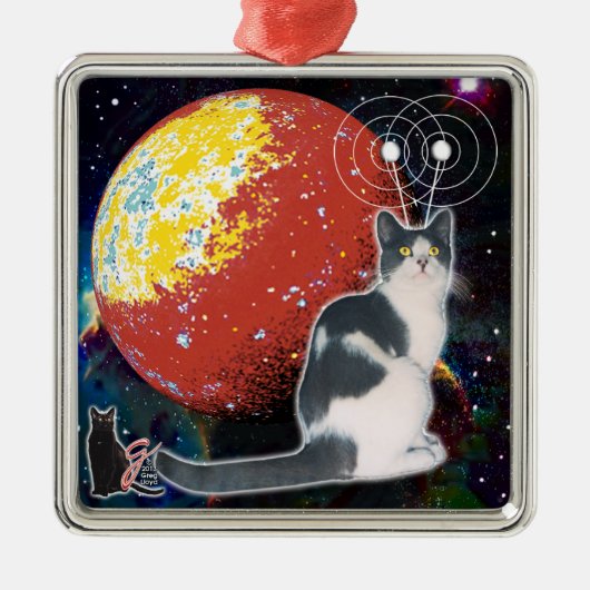 Robo-Cat Hobo Ornament (Vorne)