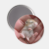 Robo Pup Magnet (Vorderseite/Rückseite)