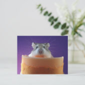 Roborovksi Hamster Postkarte (Stehend Vorderseite)
