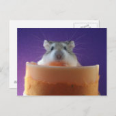 Roborovksi Hamster Postkarte (Vorne/Hinten)
