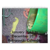 Roborovski 2011 Kalender (Titelbild)