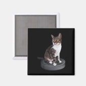 Robot Cat Vacuum Cleaner Feline Animal Niedlich Ca Magnet (Vorderseite/Rückseite)