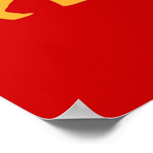 Robot Evolution Poster (Ecke)