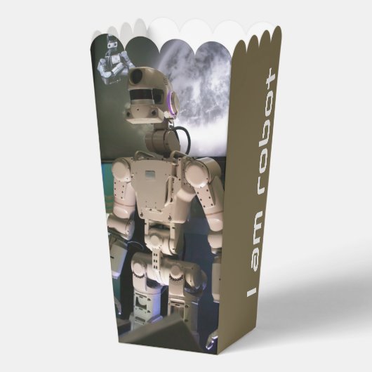 Roboter Geschenkschachtel (Rückseite)