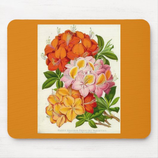 "Robuste Azaleen" durch Sir Joseph Paxton Mousepad (Vorne)