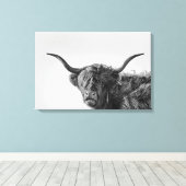 Robuste Hochlandkuh in Monochrom Leinwanddruck (Insitu (Holzboden))