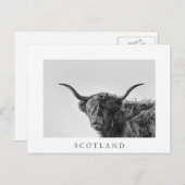 Robuste Hochlandkuh in Monochrom Postkarte (Vorne/Hinten)