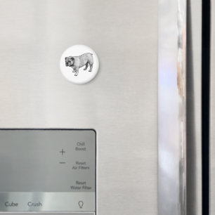 Robuste Punktform Magnet