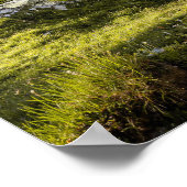 Robustes Collie und Lammherde Schafe - Poster (Ecke)