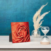 robustes Leben Fotoplatte (InSitu)