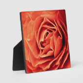 robustes Leben Fotoplatte (Vorderseite)