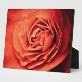 robustes Leben Fotoplatte (Seite)