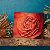 robustes Leben Fotoplatte (Seite)