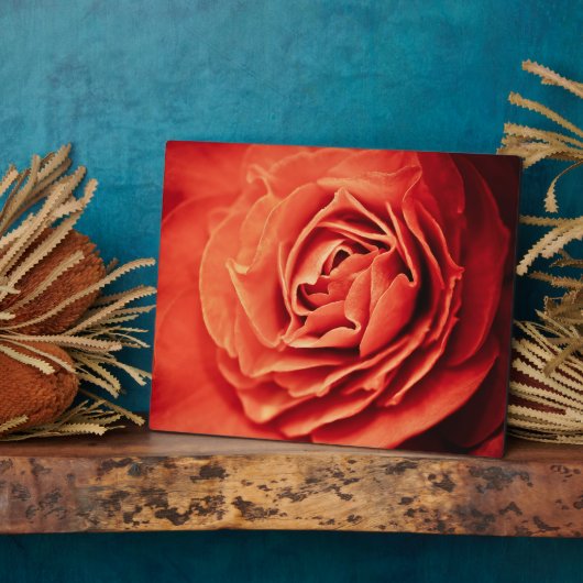 robustes Leben Fotoplatte (Seite)