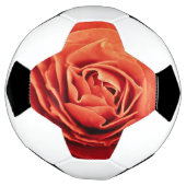 robustes Leben Fußball (Gedreht)