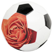 robustes Leben Fußball (Dreiviertel)