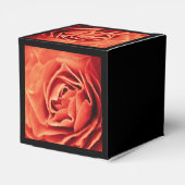 robustes Leben Geschenkschachtel (Rückseite)