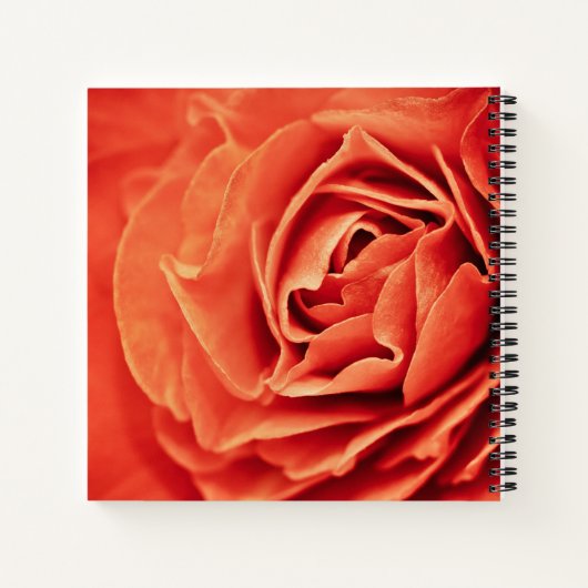 robustes Leben Notizblock (Rückseite)