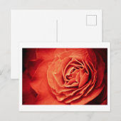 robustes Leben Postkarte (Vorne/Hinten)