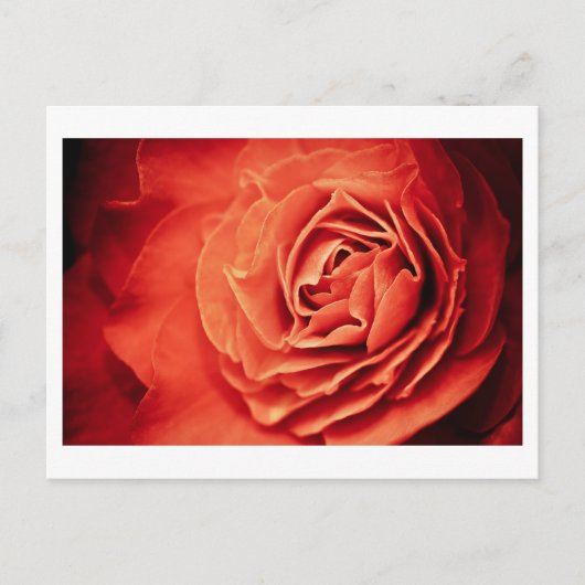 robustes Leben Postkarte (Vorderseite)