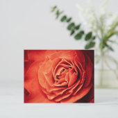 robustes Leben Postkarte (Stehend Vorderseite)