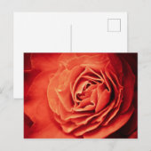 robustes Leben Postkarte (Vorne/Hinten)