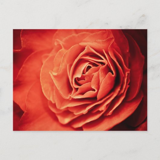 robustes Leben Postkarte (Vorderseite)