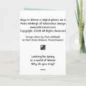 Robyn im Winter Karte (Rückseite)