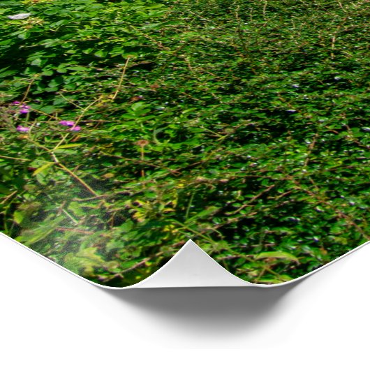 Rochdale Canal, Ludenfoot Poster (Ecke)