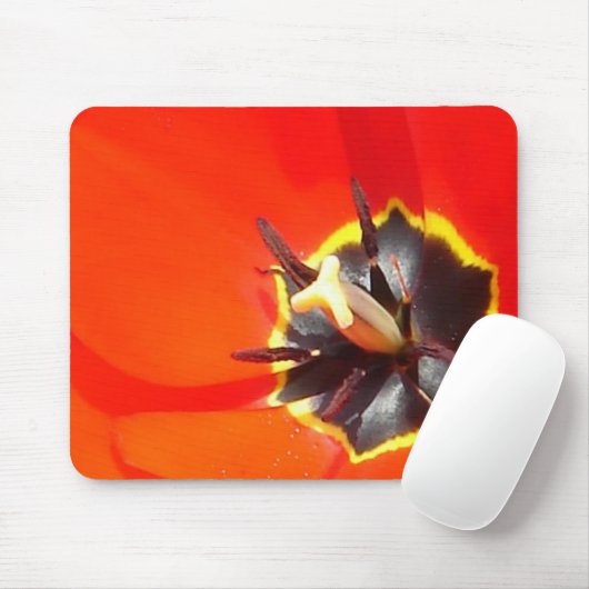 Rochen Mousepad (Mit Mouse)